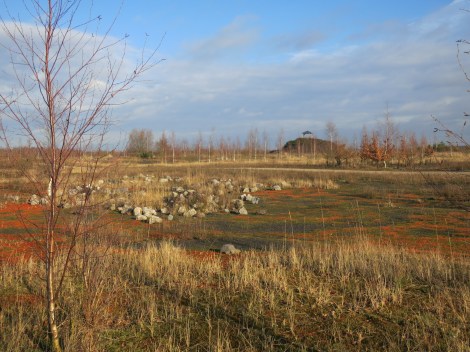Plateau du belvédère Terril des argales, Rieulay (59, nord)