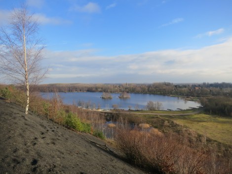 Versant Sud-Est des argales Terril des argales, Rieulay (59, nord)