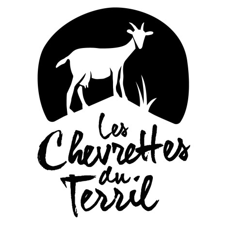 02-Logo-Typos_01-dearjoehannes