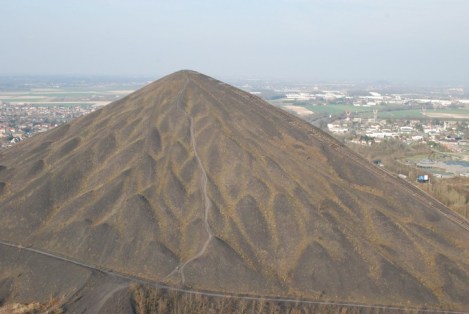 Image-1024-1024-106941