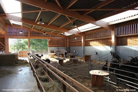 pauline-vachon-ferme-pedagogique-vue-int