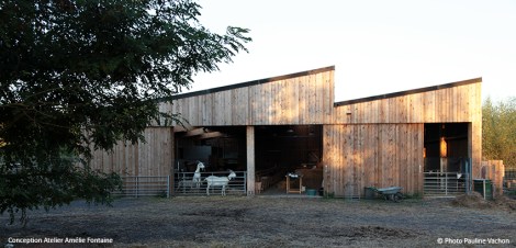 pauline-vachon-ferme-pedagogique