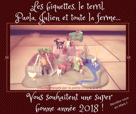 Bonne année format WordPress