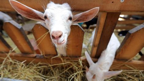 B9716184375Z.1_20180629101136_000+G36BJBCQT.3-0