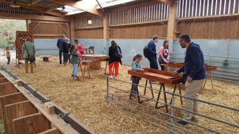 40325395_290591328386012_7166796216397725696_o