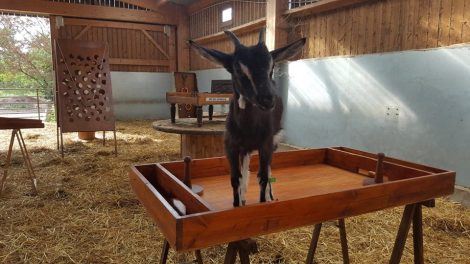 40387311_290591371719341_7922863168055934976_n