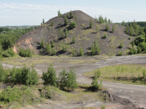 Rieulay_-_Terril_n°_144,_Rieulay_(153)