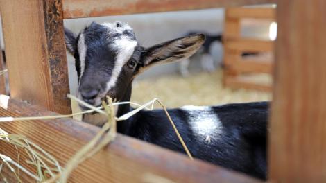 B9716191178Z.1_20180629114924_000+G36BJBC8H.3-0